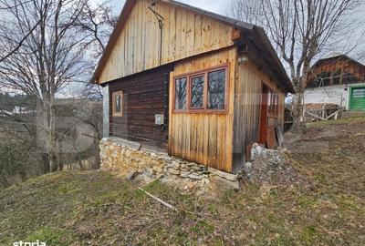 Spațiu comercial, în Scărișoara - 5