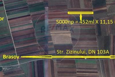 Teren de 5000 mp, în Tărlungeni - 1