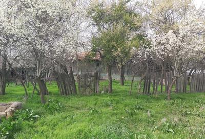 Teren în Văleni - 3