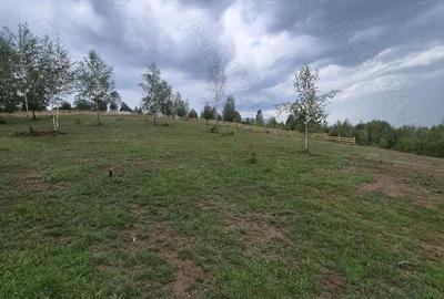 Teren extravilan 13.800 mp Ra?nov, Glajarie priveli?te superba, oportunitate de investi?ie Teren extravilan 13.800 mp Ra?nov, Glajarie priveli?te superba, oportunitate de investi?ie - 7