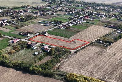 RECO Teren Cheresig 20 km de Oradea RECO Teren Cheresig 20 km de Oradea - 2