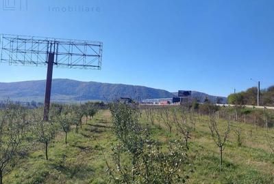 Spațiu comercial, în Șcheia - 3