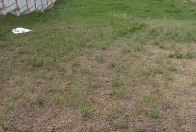 Spațiu comercial, în Cătămărești - 4