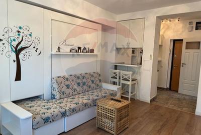 Inchiriere Garsoniera Regina Elisabeta - 10