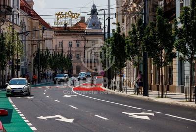 Spatiu Comercial - Zona Ultracentrala - Vad pietonal intens - 15