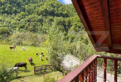 Casă cu 3 camere cu Teren 1470 Mp în Șugag - 8