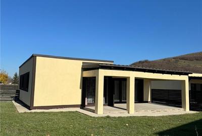 Casa singura in curte, Zizin , Tarlungeni , Brasov - 2