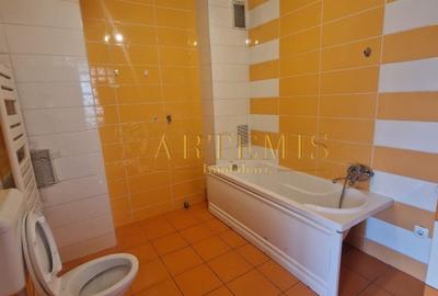 Spatiu de 1 camera, 25 mp.  zona Independentei - 2