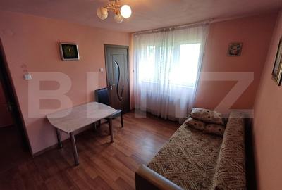 Apartament de inchiriat, cu 2 camere, zona Decebal - 2