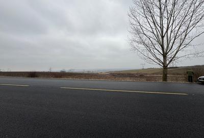 Teren agricol intravilan de 5000 mp, în Itești - 3