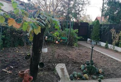 Vila Deosebita zona Fabric Lunei - 12