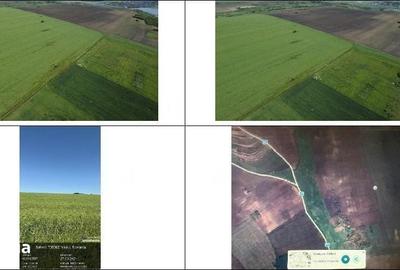 Teren de 4300 mp, în Bălteni - 6