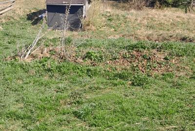 Casă cu 3 camere cu Teren 3892 Mp în Dorna Candrenilor - 2