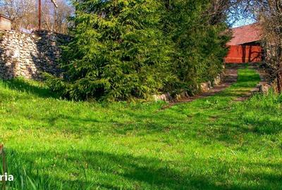 Spațiu comercial, în Cheia - 1