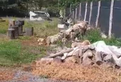 Casa 2 camere in Zam - ID : RH-38533-property - 8