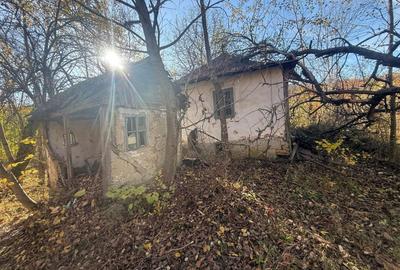 Teren langa pădure 6400mp+casa demolabila-deschidere 35 ml - 1