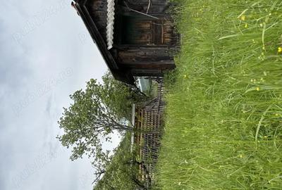 Vand casa ?i teren in Munteni, comuna Bulz, cu ie?ire la DJ - 3