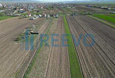 Teren de 10500 mp, în Nicolae Bălcescu - 11