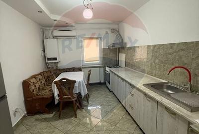 Apartament 3 camere de inchiriat Lapus-Arges - 6