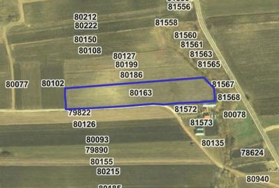 Apartament cu 2 camere decomandat în Kogălniceanu - 2