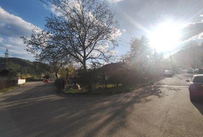 Casă cu 2 camere în Țărăncuța - 4