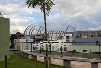 Apartament ideal investitite, Iulius Mall si FSEGA - 17