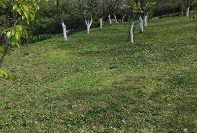 Casă individuală cu 2 camere în Țerova - 3