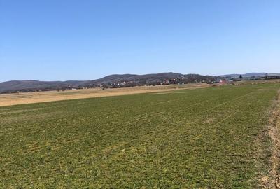 Teren extravilan de 4000 mp, în Mărăcineni - 8