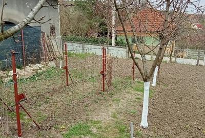 Casă individuală cu 2 camere cu Teren 2000 Mp în Ciglean - 9