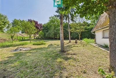 Casu?a de vacan?a cu POTEN?IAL DE INVESTI?IE - 2