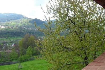 Vila deosebita cu 7 camere si 5 bai, 4290 mp teren, vedere panoramica  Valea Do - 5