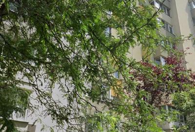 Apartament cu 3 camere decomandat, mobilat în Moșilor - 19