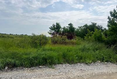 Teren agricol intravilan de 5444 mp, în Săftica - 2