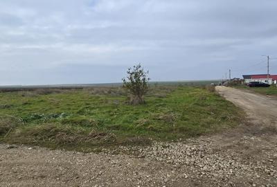 Agigea  Teren cu utilitatii 1 ha cu 500 ml deschidere la strada Crinului - 10