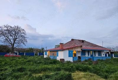 Casă cu 3 camere în Jurilovca - 9