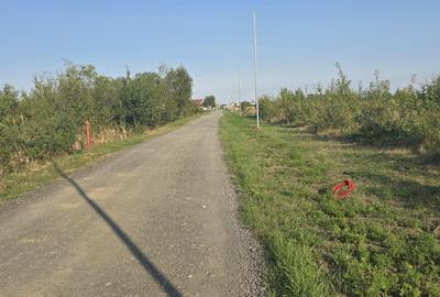 Spațiu comercial, în Giarmata - 3