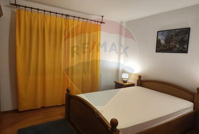 Apartament cu 2 camere de închiriat în zona Vitan - 4