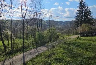 Teren în Brebu - 11