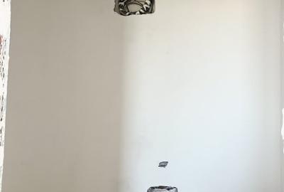 Duplex, 76mp Utili, 277mp Teren, 3 Camere, Constructie Noua - Sacalaz - 9