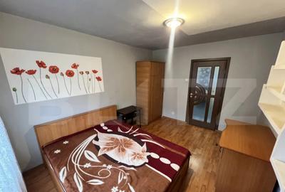 Garsonieră nedecomandată în Lăpuș Argeș - 3