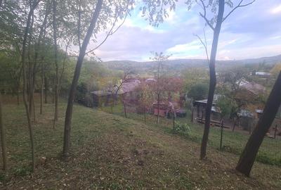 Casă cu 3 camere în Central - 10