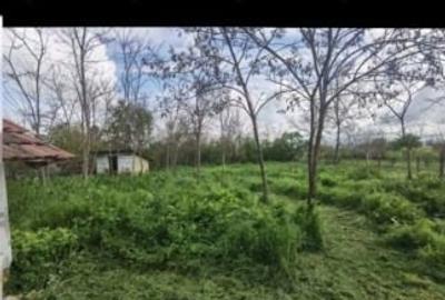 Casă de vânzare cu teren - 6