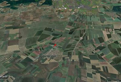 2,70 ha teren la intrarea in com Sagu, front stradal mare - 2