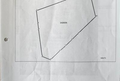 Teren faleza nord- 300 de mp - 3