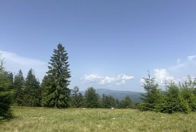 Spațiu comercial, în Dorna Candrenilor - 3