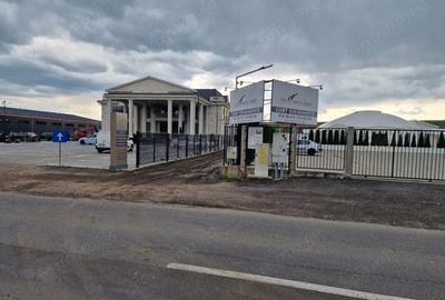 Teren de 10000 mp, în Vest - 1