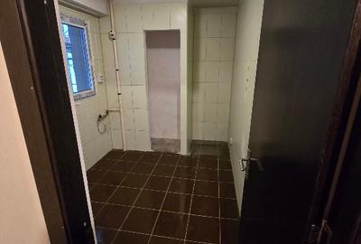 Apartament cu 2 camere decomandat în Giurgiului - 9