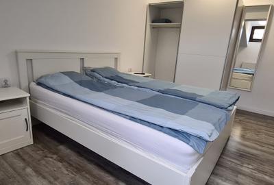 Vila Calea Calarasi 132 - 21