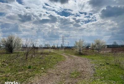 Teren de 7800 mp, în Central