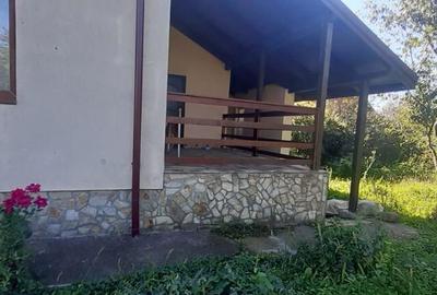 Gardani, casa cu etaj - 4